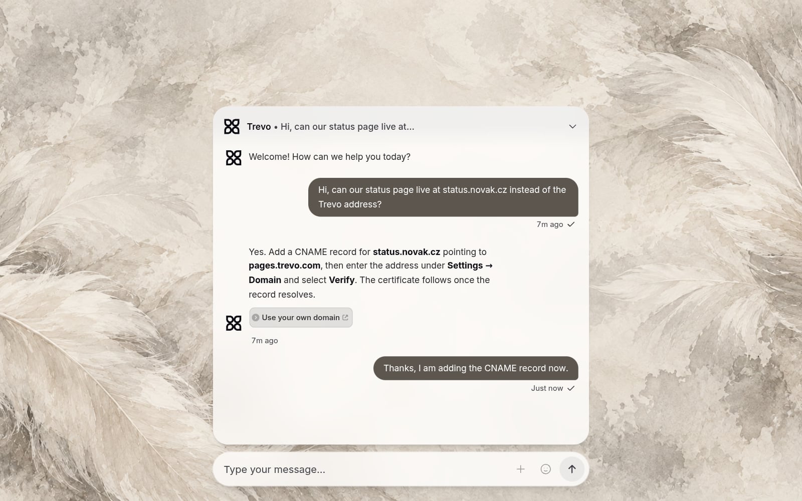 Webchat as a frosted message bar at the bottom of a web page, with a conversation open above the bar