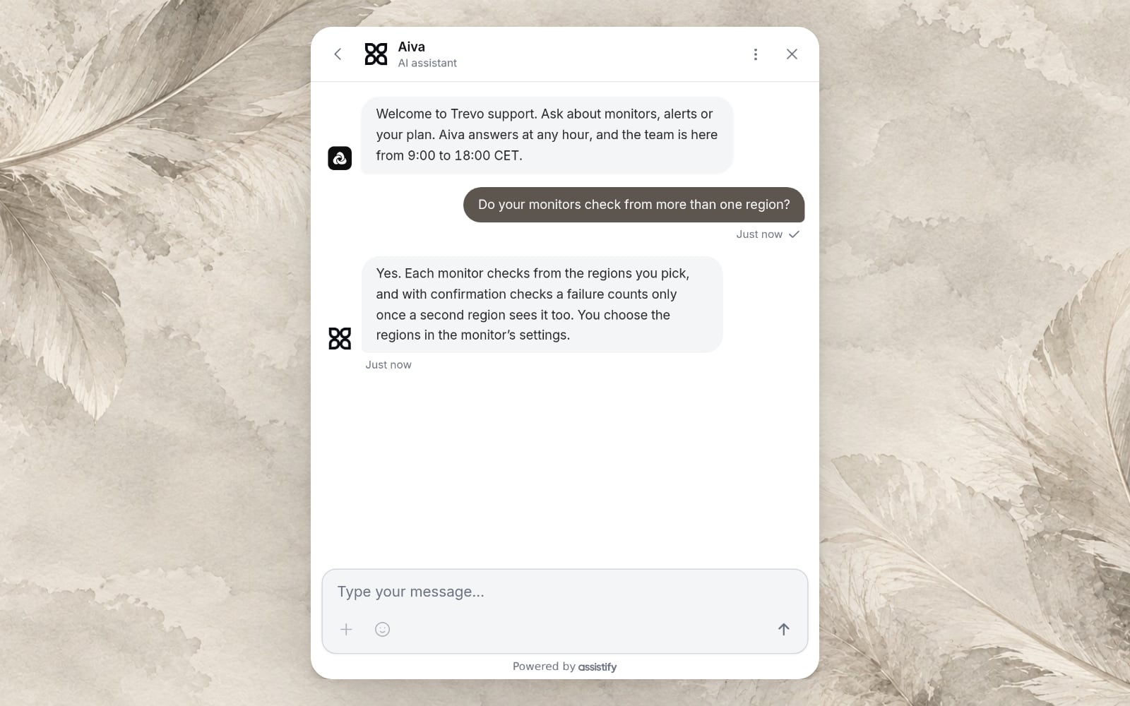 Webchat opening a conversation with the team’s welcome message